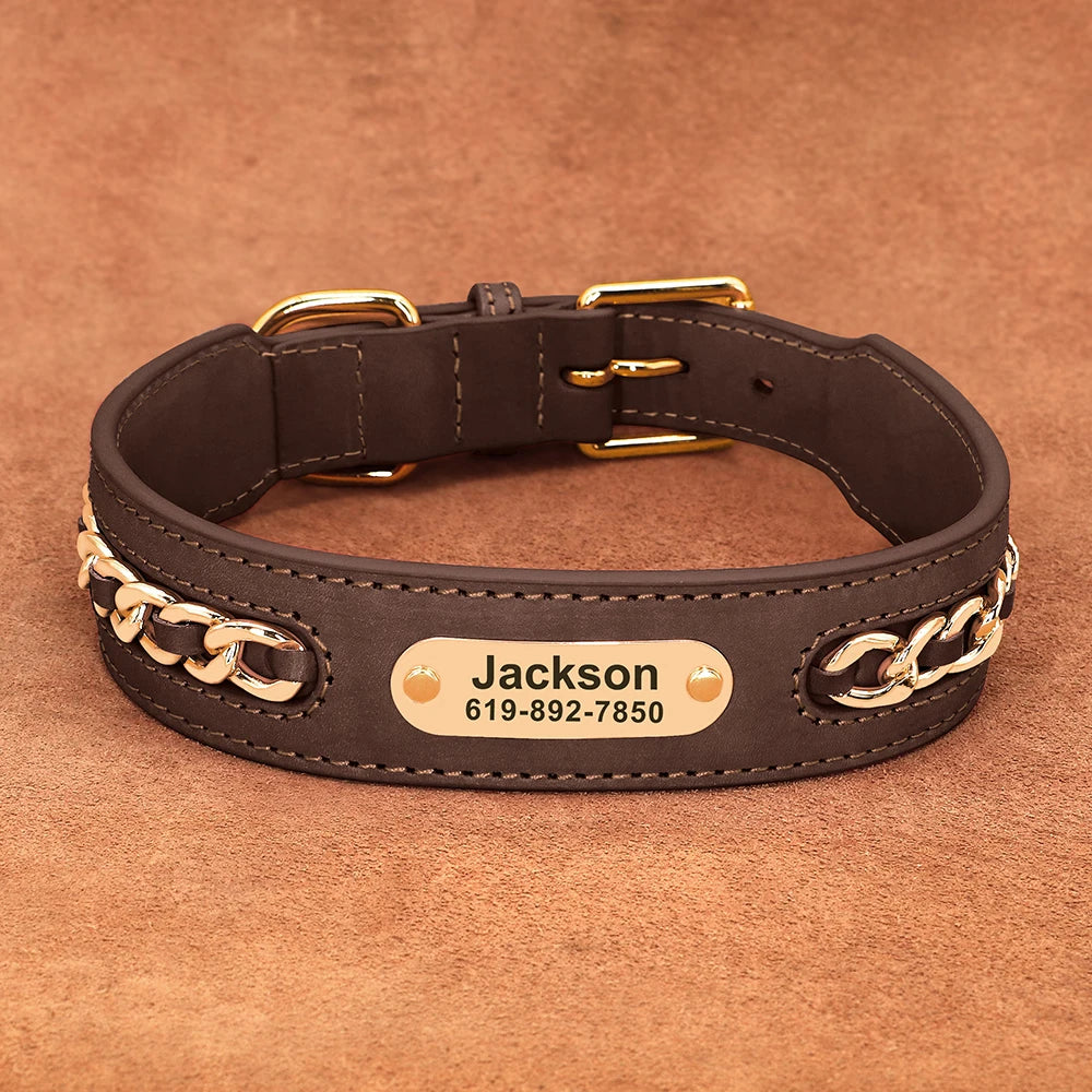 Custom Collar