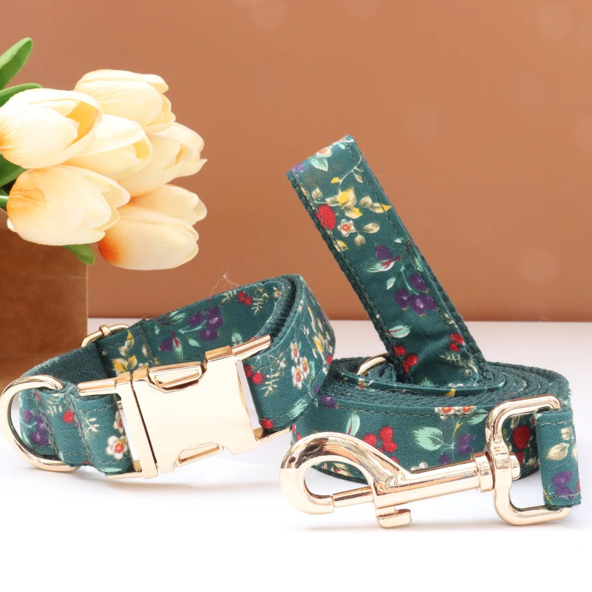 Custom Collar & Leash