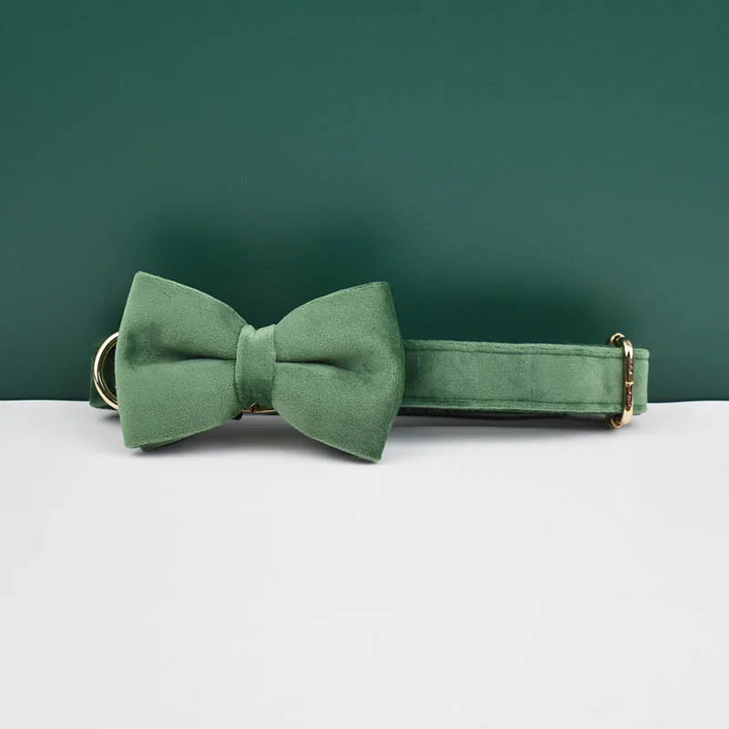 Adjustable Collar & Leash