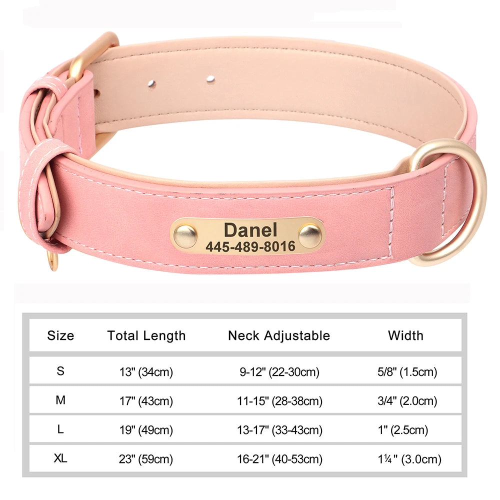 Leather Collar