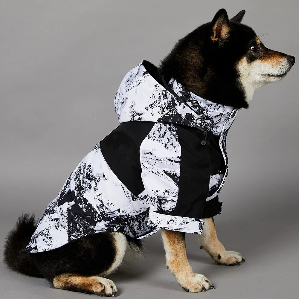 The Dog Face Raincoat