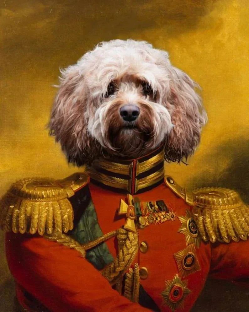 47996681552219|47996681617755