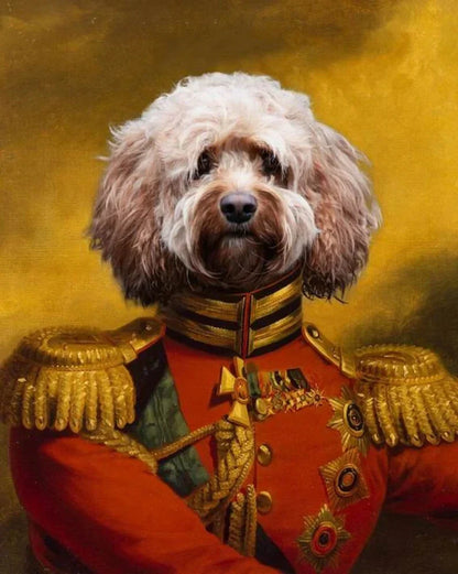 47996681552219|47996681617755