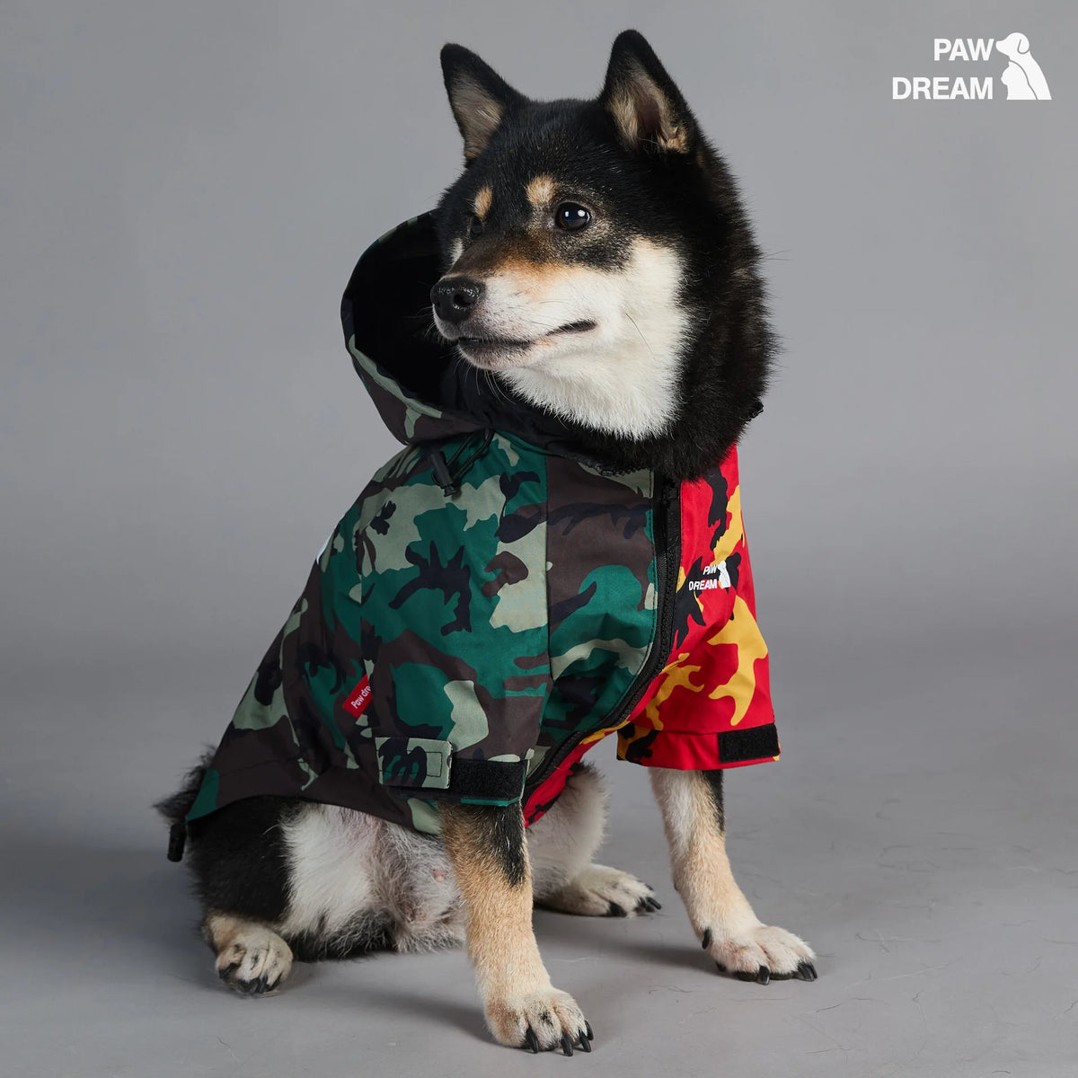 The Dog Face Camouflage