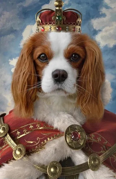 47996679356763|47996679389531|47996679717211