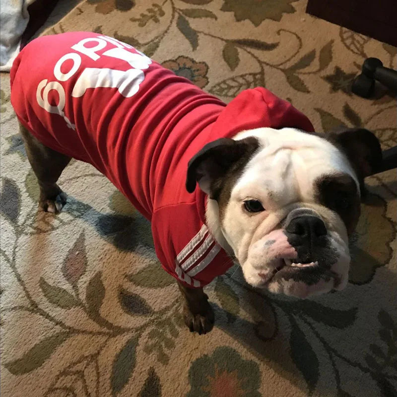 Adidog Sweatshirt
