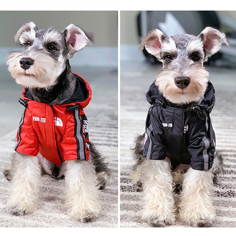 The Dog Face Jacket