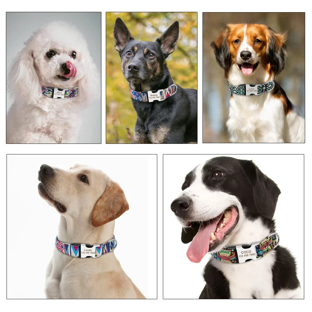 Personalized Nylon Collar