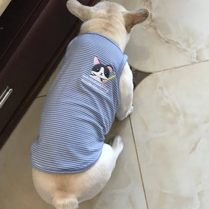 Matching Human And Dog Outfit