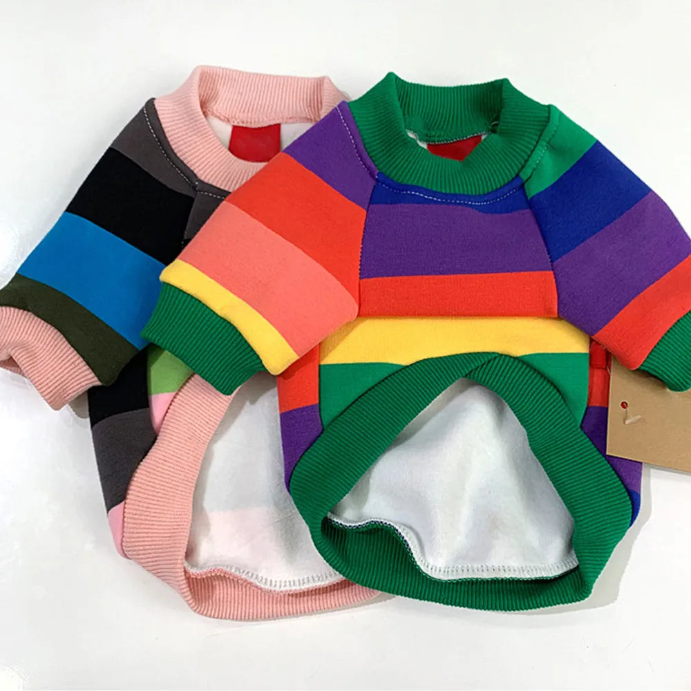 Matching Human And Dog Outfit