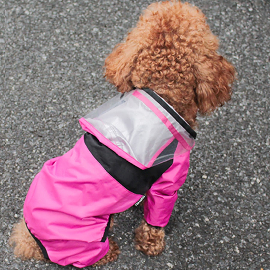 The Dog Face Jacket