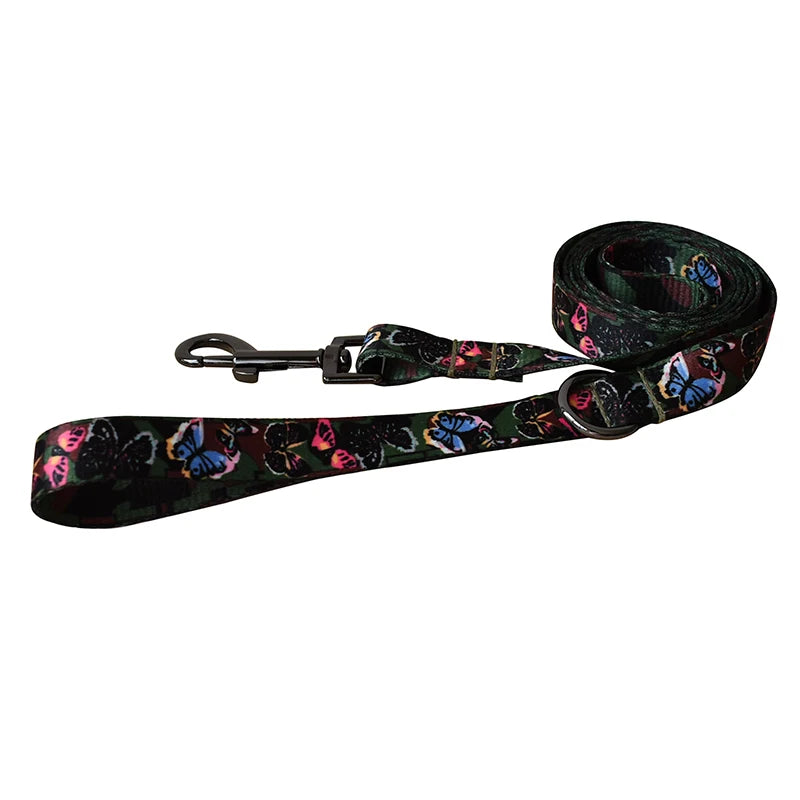 Ethnic Collar & Leash