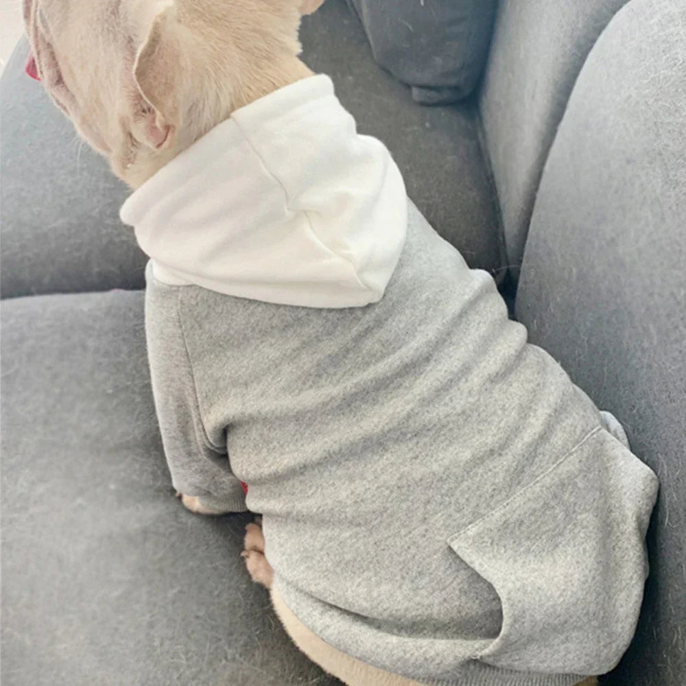 Matching Human And Dog Outfit