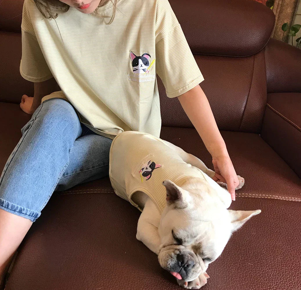 48095619776859|48095619809627|48095619973467|48095620006235|48095620039003|48095620071771|48095620104539|48095620137307