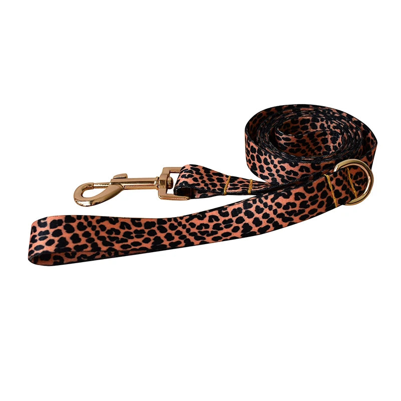 Ethnic Collar & Leash