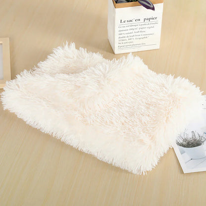 47878714065243|47878714098011|47878714130779