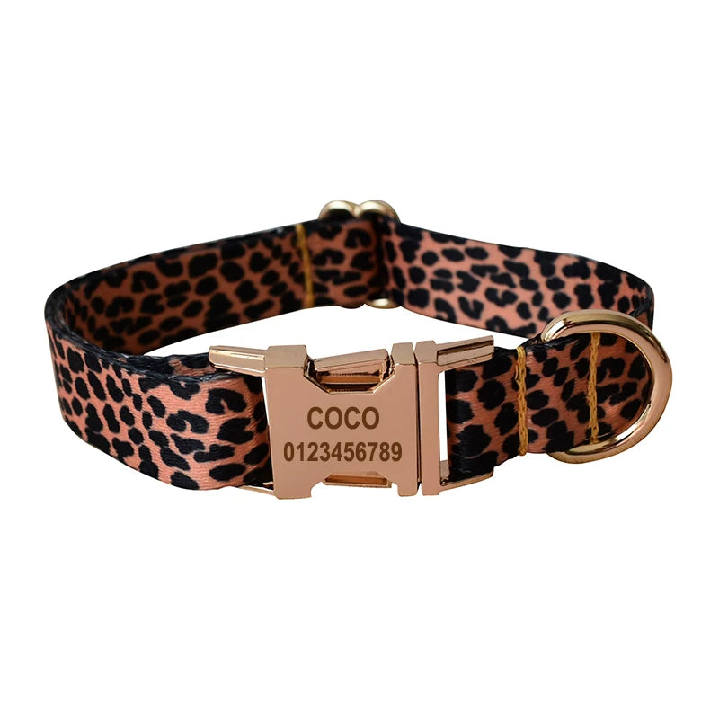 Ethnic Collar & Leash