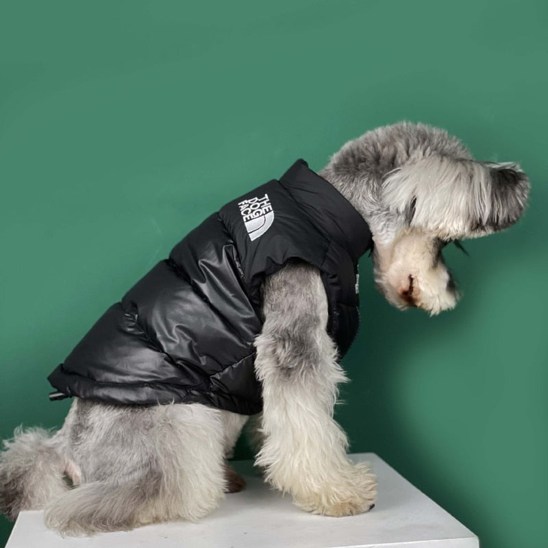 The Dog Face Vest