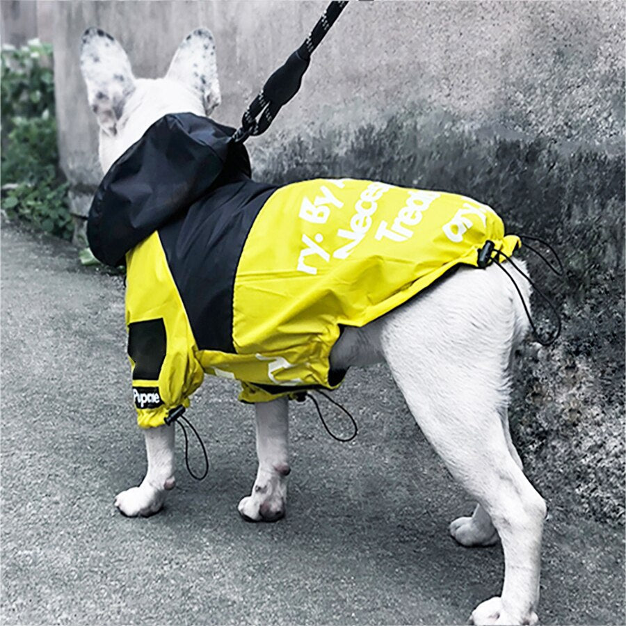 The Dog Face Raincoat