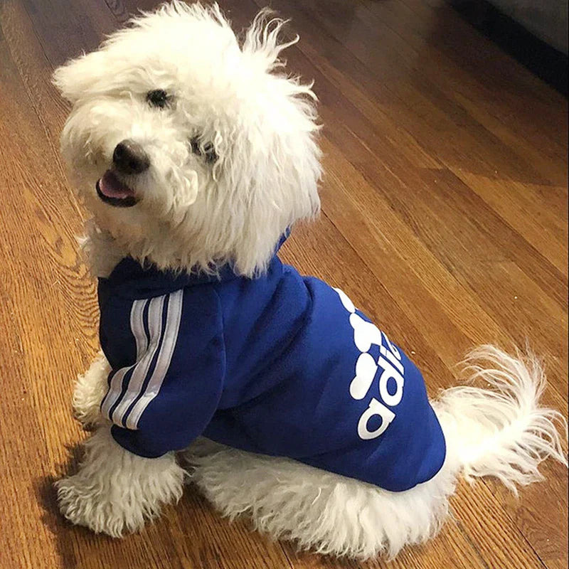 Adidog Sweatshirt