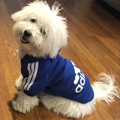Adidog Sweatshirt