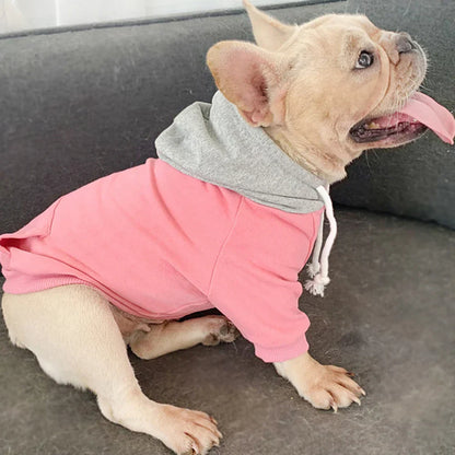 Matching Human And Dog Outfit