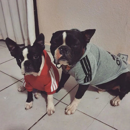 Adidog Sweatshirt
