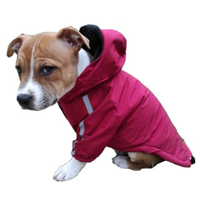 The Dog Face Coat