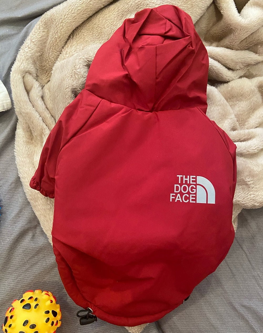 The Dog Face Coat