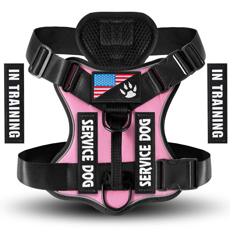 Reflective Harness