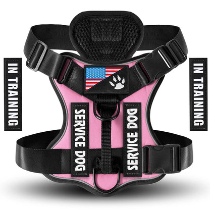 Reflective Harness