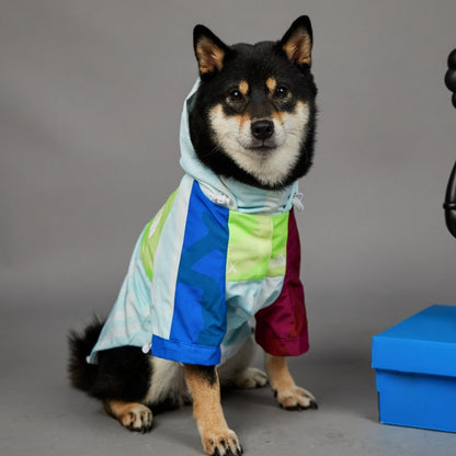 The Dog Face Raincoat
