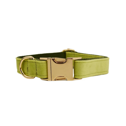 Adjustable Collar & Leash