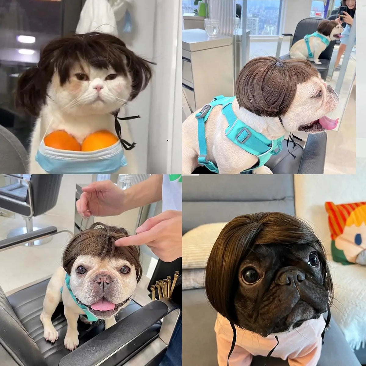 Playful Wig