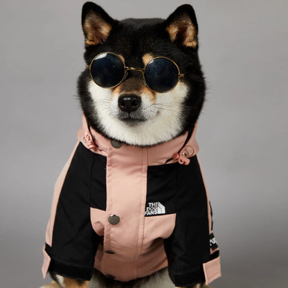 The Dog Face Raincoat