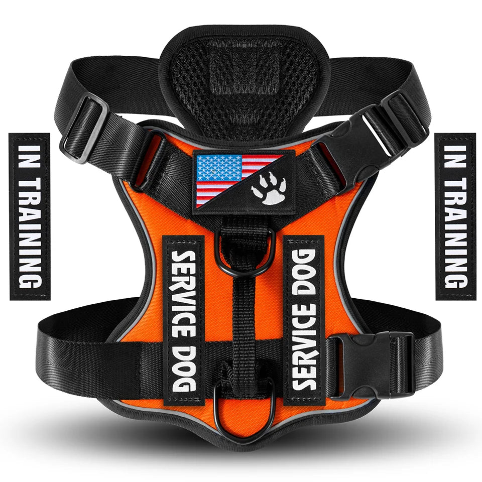 Reflective Harness