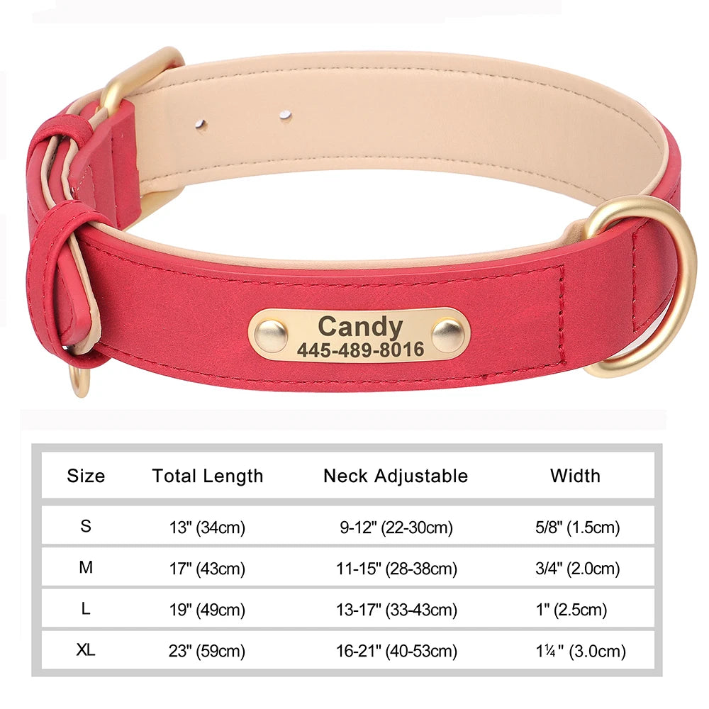 Leather Collar