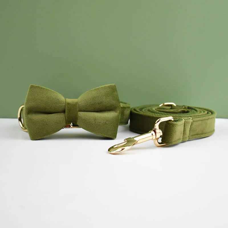 Adjustable Collar & Leash