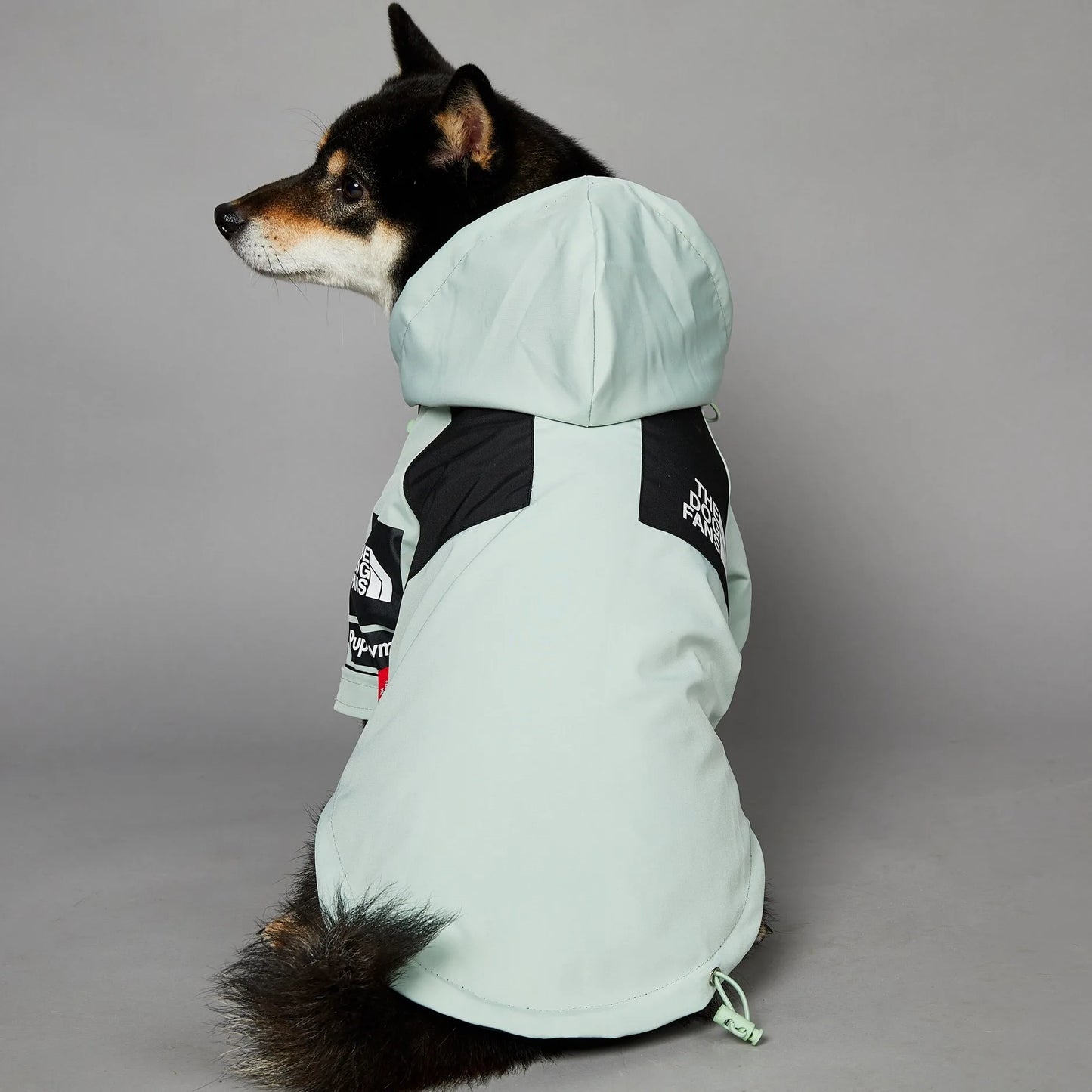 The Dog Face Raincoat