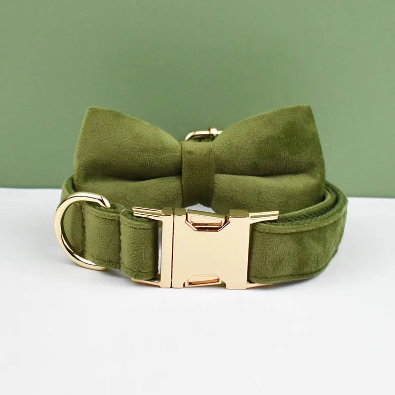 Adjustable Collar & Leash
