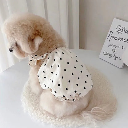 Lace Bow Dress