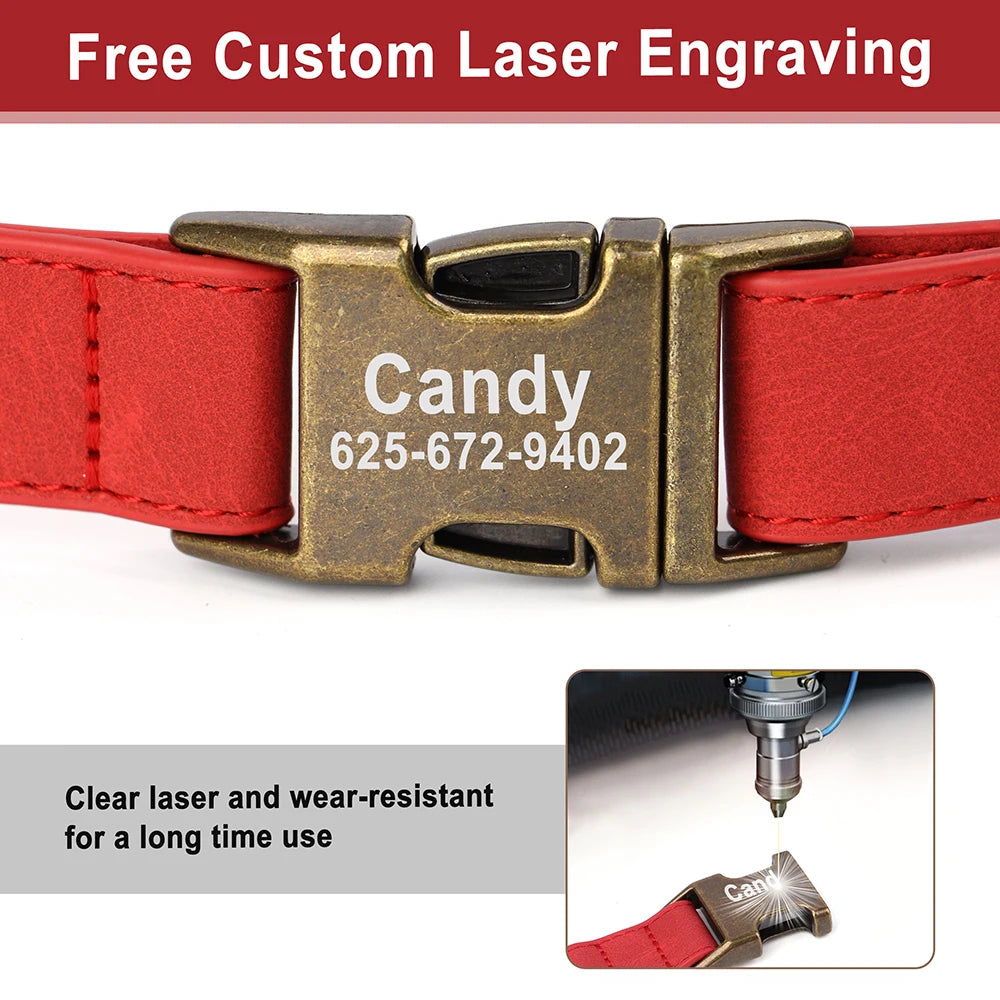 Custom Leather Collar