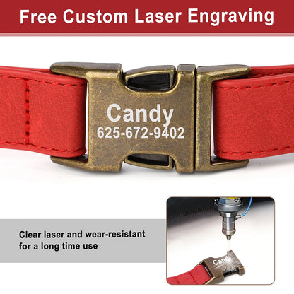 Custom Leather Collar
