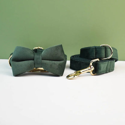 Adjustable Collar & Leash