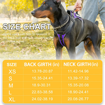 Reflective Harness