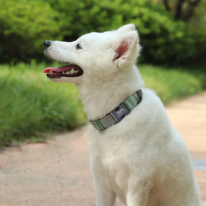 Custom Collar