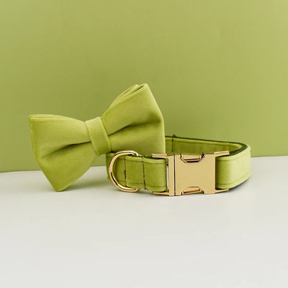 Adjustable Collar & Leash