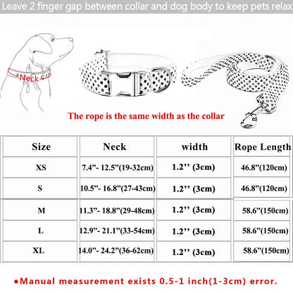 Luxury Collar & Leash