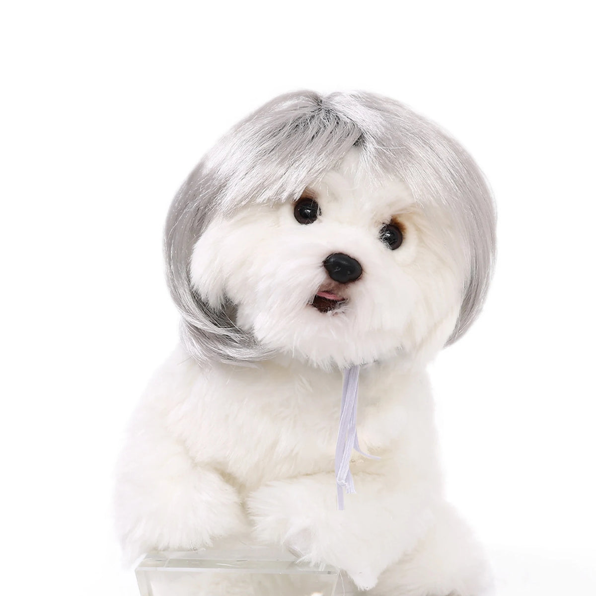 Playful Wig