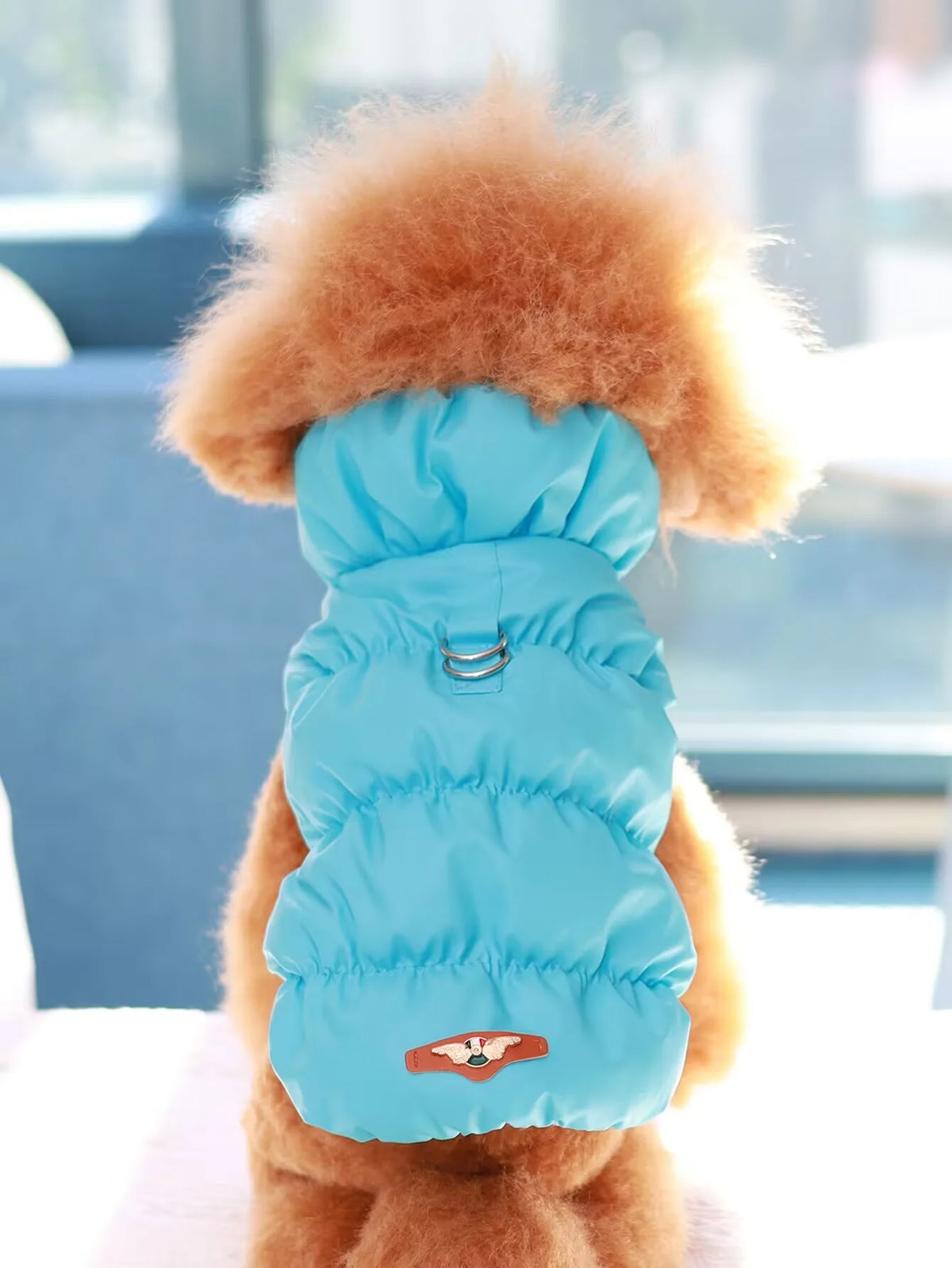 3-Layer Winter Coat